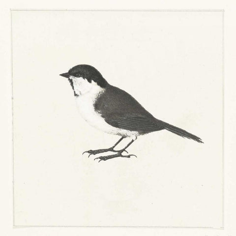 Birdy II White Modern Wood Framed Art Print by Waltz, Anne