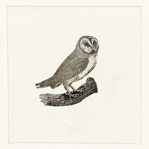 Uiltje Gold Ornate Wood Framed Art Print with Double Matting by Waltz, Anne