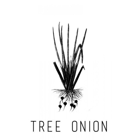 Tree Onion White Modern Wood Framed Art Print by Waltz, Anne