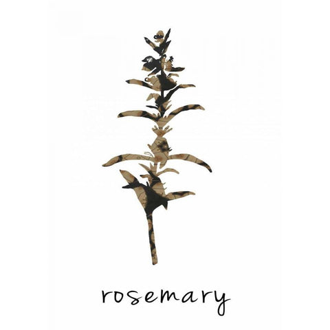 Rosemary art I Black Modern Wood Framed Art Print by Waltz, Anne