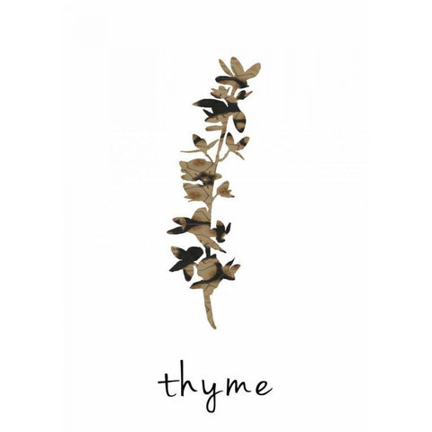 Thyme art I Black Modern Wood Framed Art Print with Double Matting by Waltz, Anne