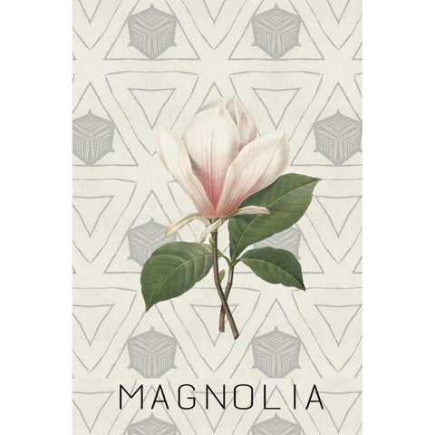 Magnolia I Black Modern Wood Framed Art Print with Double Matting by Waltz, Anne