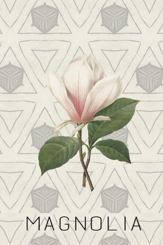 Magnolia I Black Ornate Wood Framed Art Print with Double Matting by Waltz, Anne