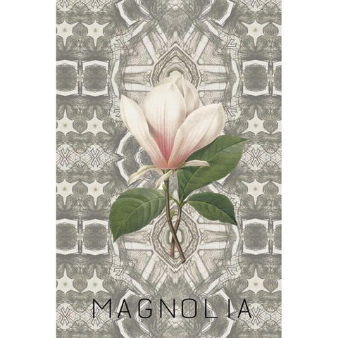 Magnolia II Black Modern Wood Framed Art Print by Waltz, Anne