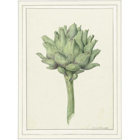 Classic veg Black Modern Wood Framed Art Print by Waltz, Anne