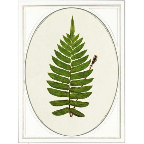 Leaf Gold Ornate Wood Framed Art Print with Double Matting by Waltz, Anne