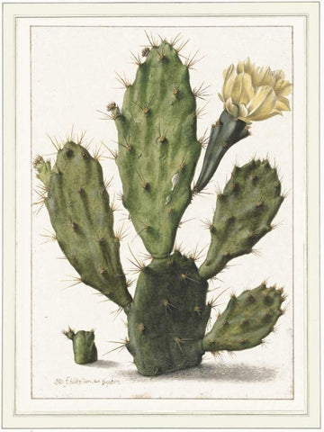 Cactenia Black Ornate Wood Framed Art Print with Double Matting by Waltz, Anne