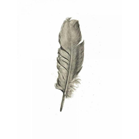 Feather I White Modern Wood Framed Art Print by Waltz, Anne