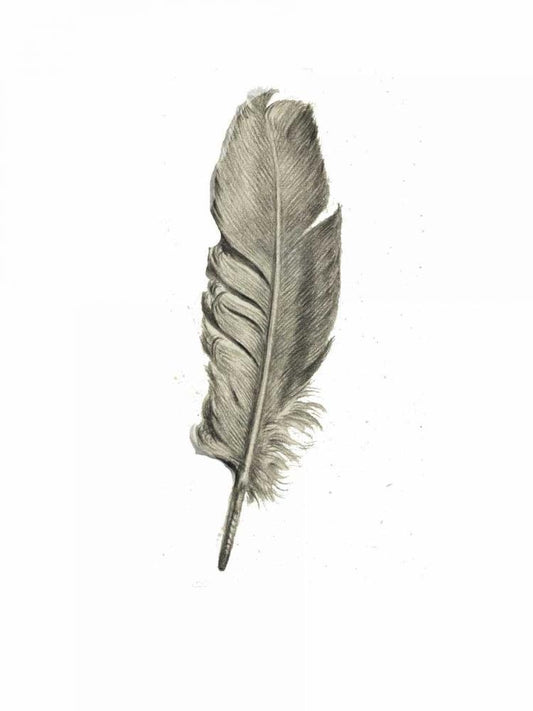 Image Only