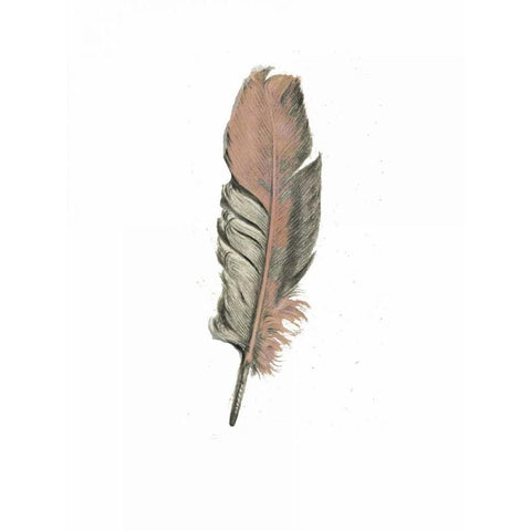 Feather II Black Modern Wood Framed Art Print with Double Matting by Waltz, Anne