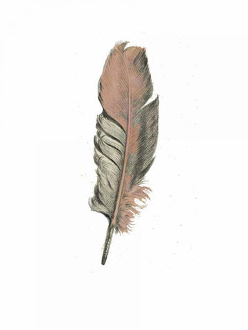 Feather II White Modern Wood Framed Art Print with Double Matting by Waltz, Anne