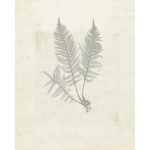 Leaf soft Black Modern Wood Framed Art Print with Double Matting by Waltz, Anne