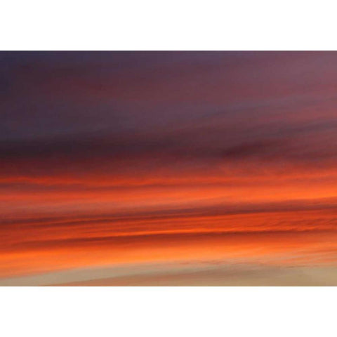 Traum White Modern Wood Framed Art Print by Paprotny, Bogdan