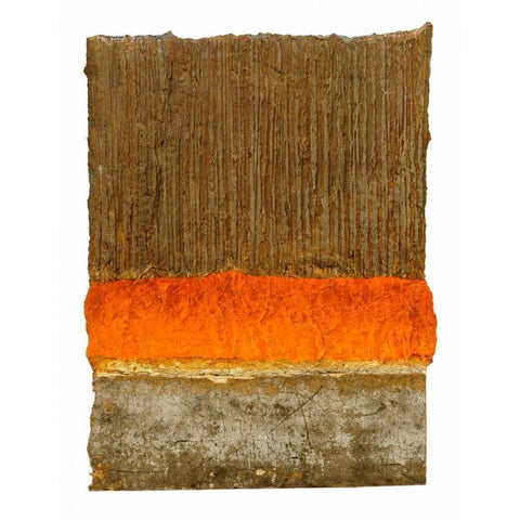 Cape Doctor I Gold Ornate Wood Framed Art Print with Double Matting by Heinrich, Christian