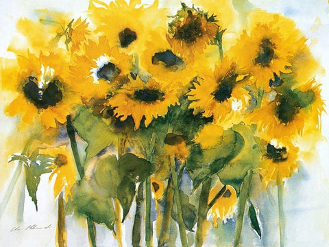 Sonnenblumenfeld White Modern Wood Framed Art Print with Double Matting by Ohland, Christa