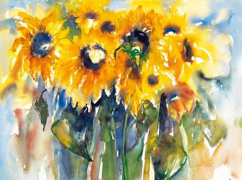 Sonnenblumen White Modern Wood Framed Art Print with Double Matting by Ohland, Christa