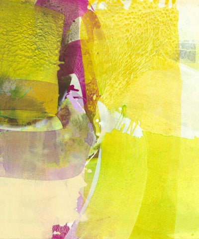 Light Green Fields Black Ornate Wood Framed Art Print with Double Matting by Witt, El