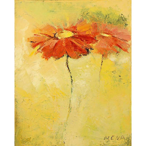 Feldblumen I White Modern Wood Framed Art Print by Filatov, Elena