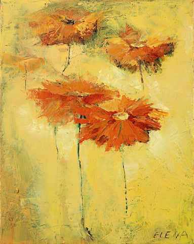 Feldblumen II White Modern Wood Framed Art Print with Double Matting by Filatov, Elena