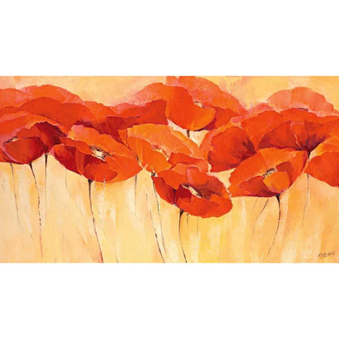 Mohnparade II Black Modern Wood Framed Art Print with Double Matting by Filatov, Elena