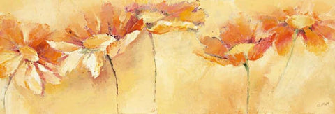 Feldblumenparade White Modern Wood Framed Art Print with Double Matting by Filatov, Elena