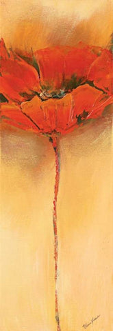 MohnblÃ¼te II White Modern Wood Framed Art Print with Double Matting by Filatov, Elena