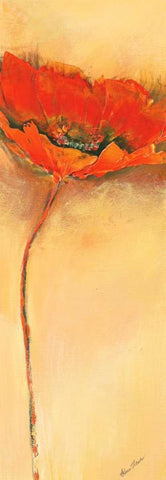 MohnblÃ¼te III White Modern Wood Framed Art Print with Double Matting by Filatov, Elena