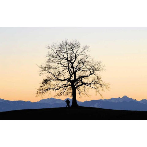 Abenddammerung I White Modern Wood Framed Art Print by Rossmeissl, Gerhard