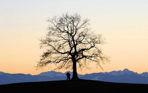 Abenddammerung I White Modern Wood Framed Art Print with Double Matting by Rossmeissl, Gerhard