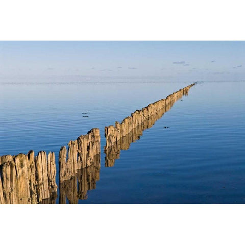 Weite Black Modern Wood Framed Art Print with Double Matting by Rossmeissl, Gerhard