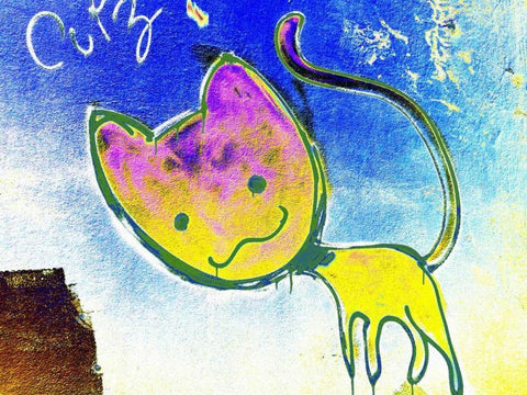 Katze 3 Black Ornate Wood Framed Art Print with Double Matting by Weissing, Gerd