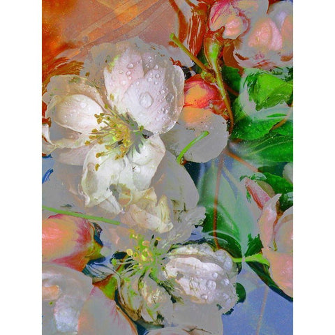 Blumenliebe White Modern Wood Framed Art Print by Weissing, Gerd