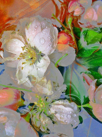 Blumenliebe Black Ornate Wood Framed Art Print with Double Matting by Weissing, Gerd