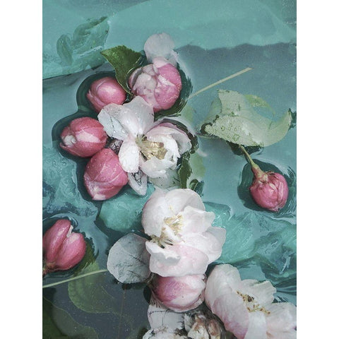 Blumenkunst Black Modern Wood Framed Art Print by Weissing, Gerd