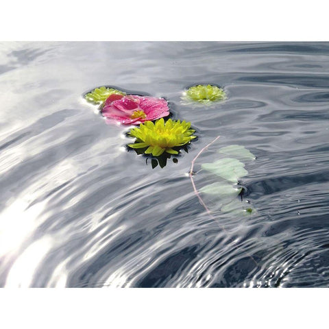 Wassertraum Gold Ornate Wood Framed Art Print with Double Matting by Weissing, Gerd