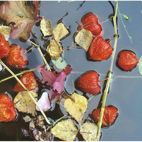 Herbstwasser Gold Ornate Wood Framed Art Print with Double Matting by Weissing, Gerd