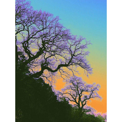 Zeitformen Black Modern Wood Framed Art Print by Weissing, Gerd