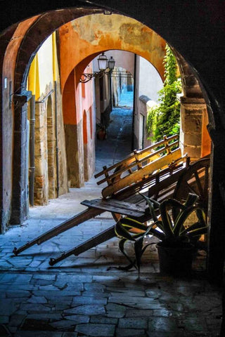 Marktkarren Black Ornate Wood Framed Art Print with Double Matting by Greiling, Jurgen