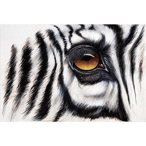 Zebra Augenblick Black Modern Wood Framed Art Print with Double Matting by Plath, Jutta