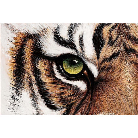 Tiger Augenblick Black Modern Wood Framed Art Print with Double Matting by Plath, Jutta