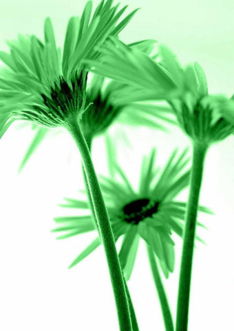 Rendez-Vous I Black Ornate Wood Framed Art Print with Double Matting by Riedt, Kirsten