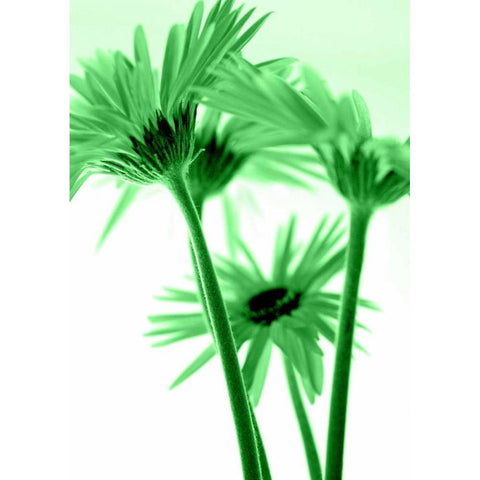 Rendez-Vous I Black Modern Wood Framed Art Print by Riedt, Kirsten