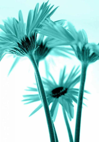 Rendez-Vous III Black Ornate Wood Framed Art Print with Double Matting by Riedt, Kirsten