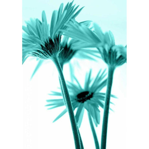 Rendez-Vous III Black Modern Wood Framed Art Print by Riedt, Kirsten