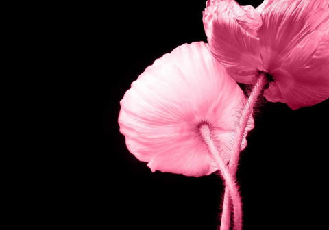 Umschlungen Black Ornate Wood Framed Art Print with Double Matting by Riedt, Kirsten