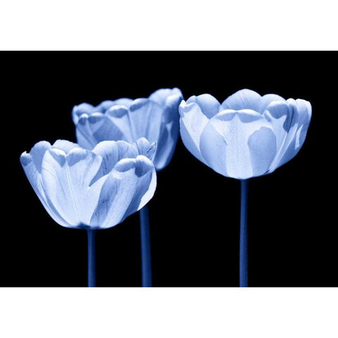 Three of us Gold Ornate Wood Framed Art Print with Double Matting by Riedt, Kirsten