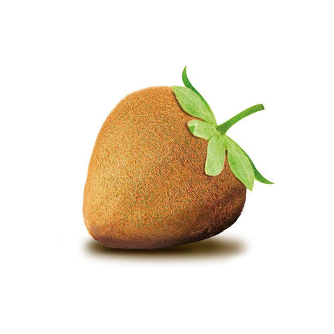 Kiwbeere White Modern Wood Framed Art Print by Broszius, Michael