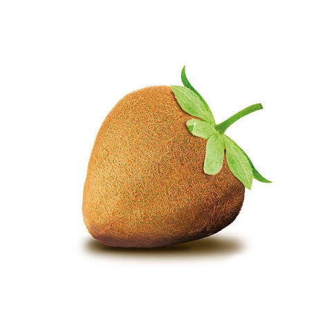 Kiwbeere White Modern Wood Framed Art Print with Double Matting by Broszius, Michael