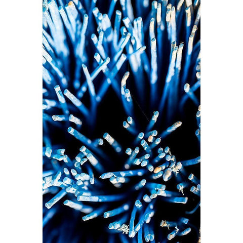 Hafen 2 Gold Ornate Wood Framed Art Print with Double Matting by Krause, Michael