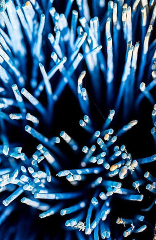 Hafen 2 Black Ornate Wood Framed Art Print with Double Matting by Krause, Michael